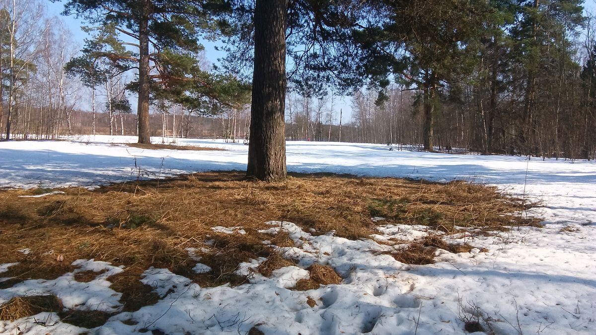 Времена года - Gen Kor Времена года - Gen Kor