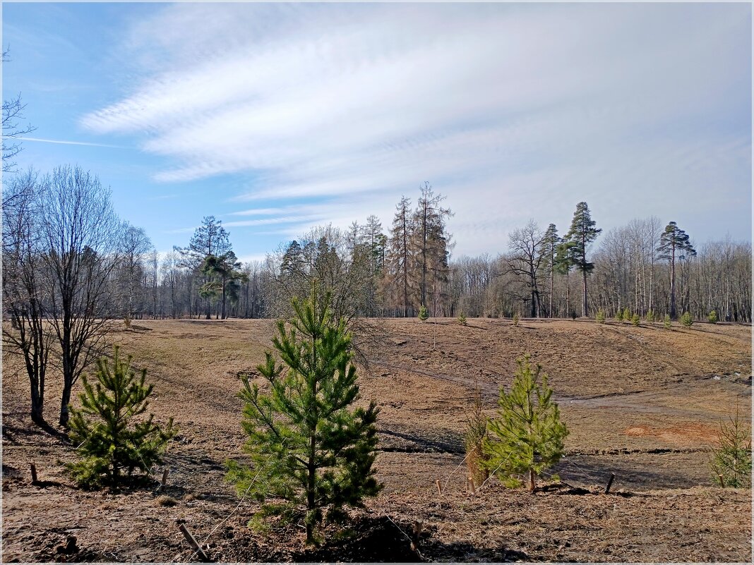 Облака идут на посадку! - Лия ☼