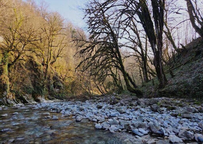 СОЛОХ АУЛ. МАРТ - Tata Wolf