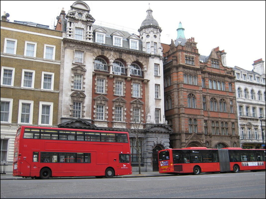 красные автобусы - zavitok *