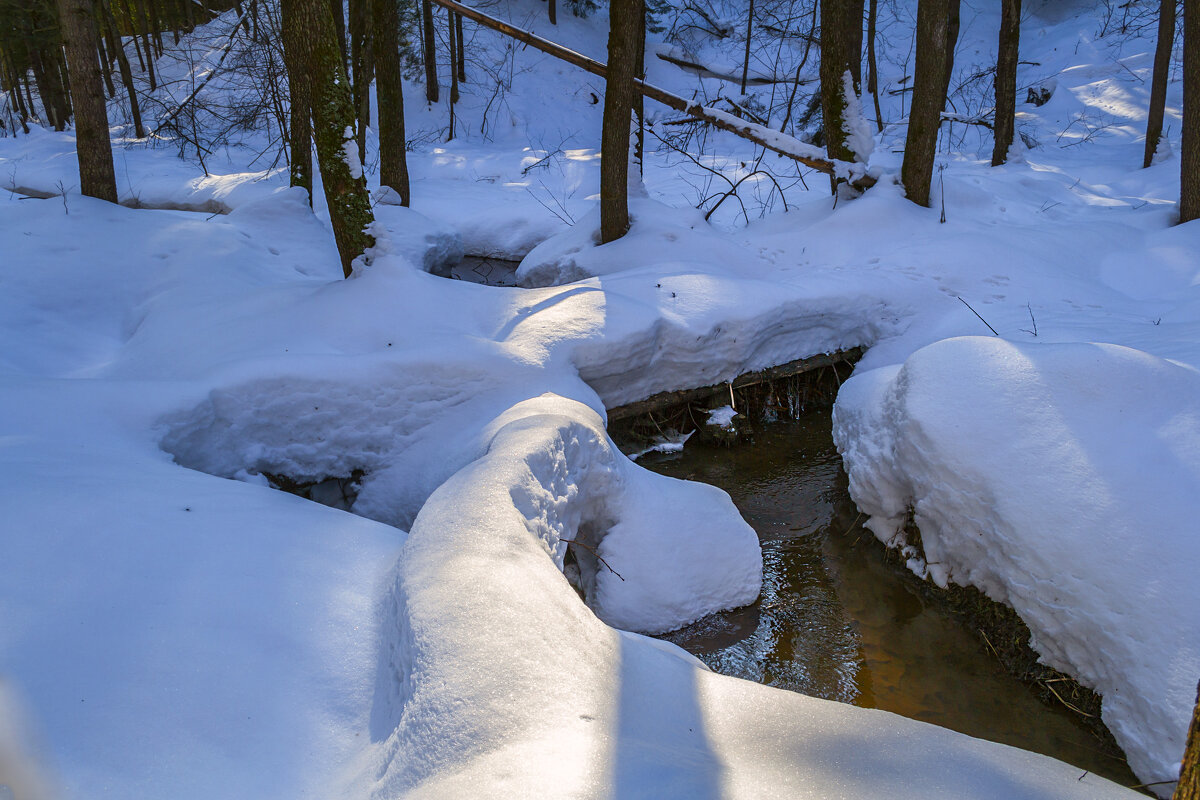 Под толщей снега - Сергей Цветков