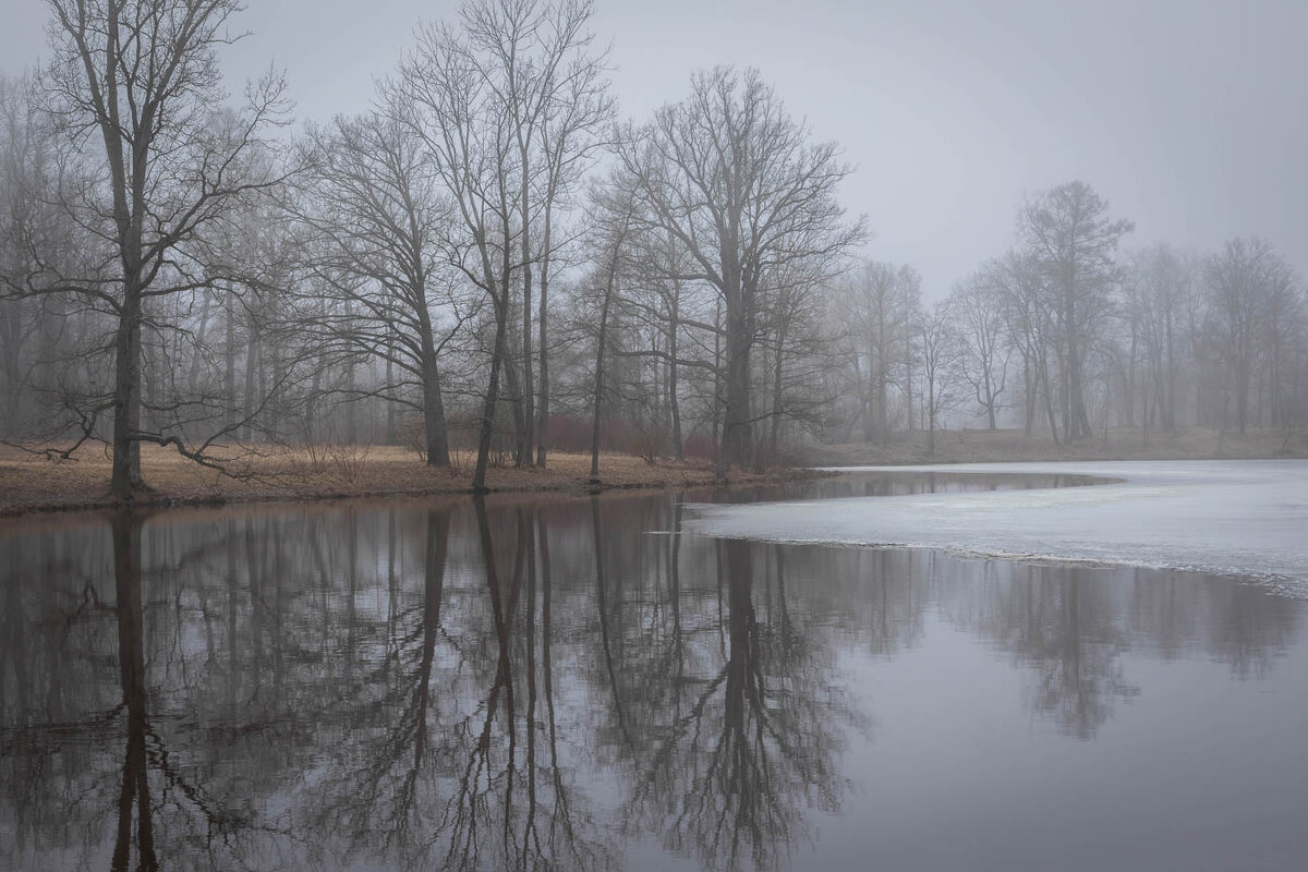 **** - Елизавета .