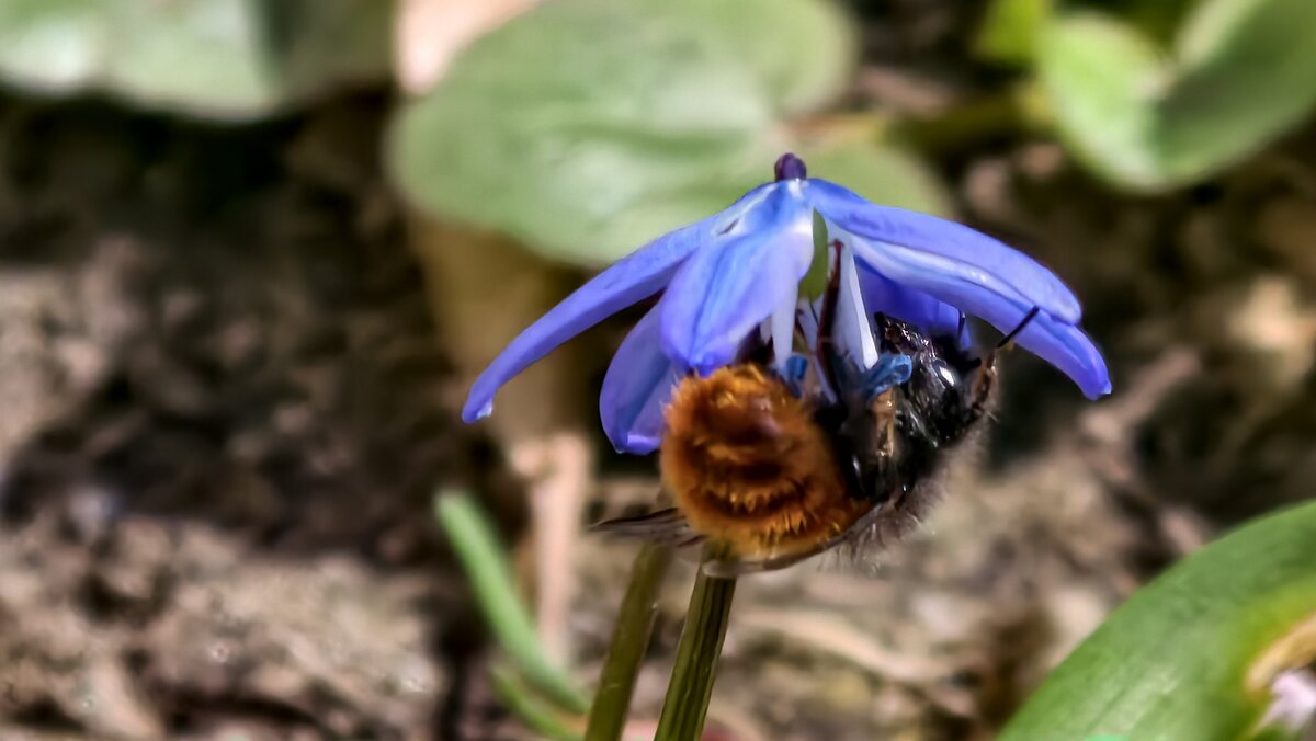 Под зонтиком - Мариша Тим