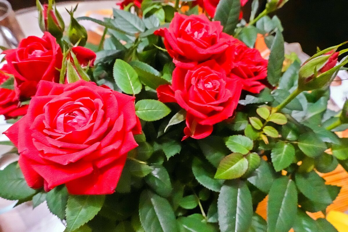 Цветы для мамы - Валерий Иванович Цветы для мамы - Валерий Иванович