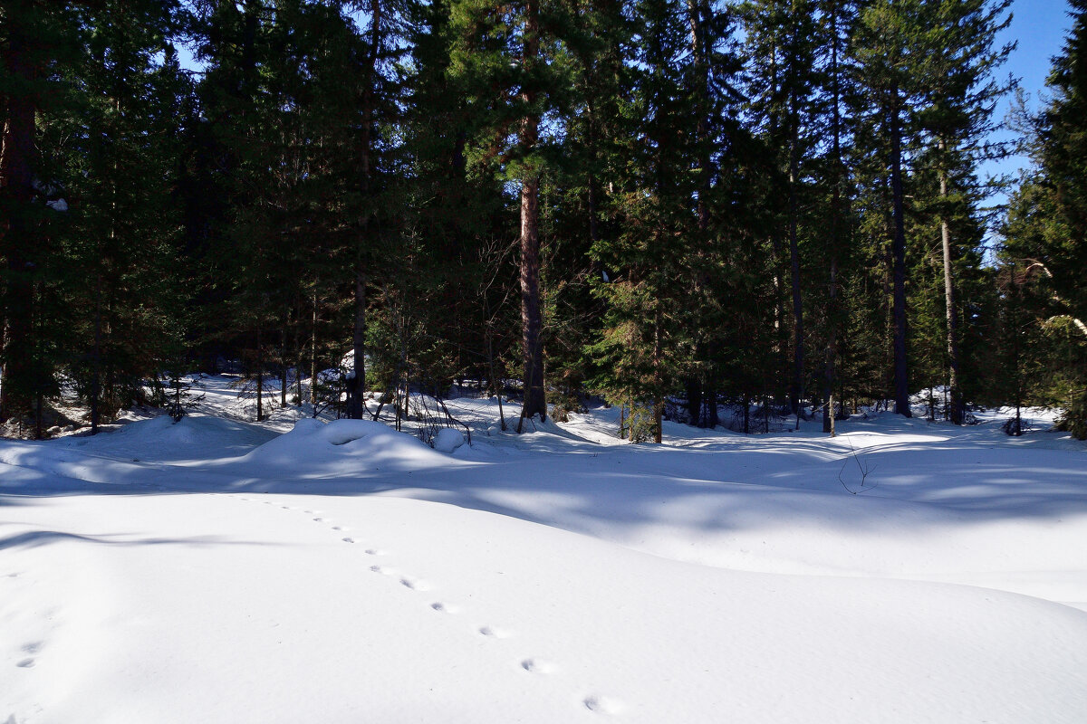- - Владимир Мигонькин
