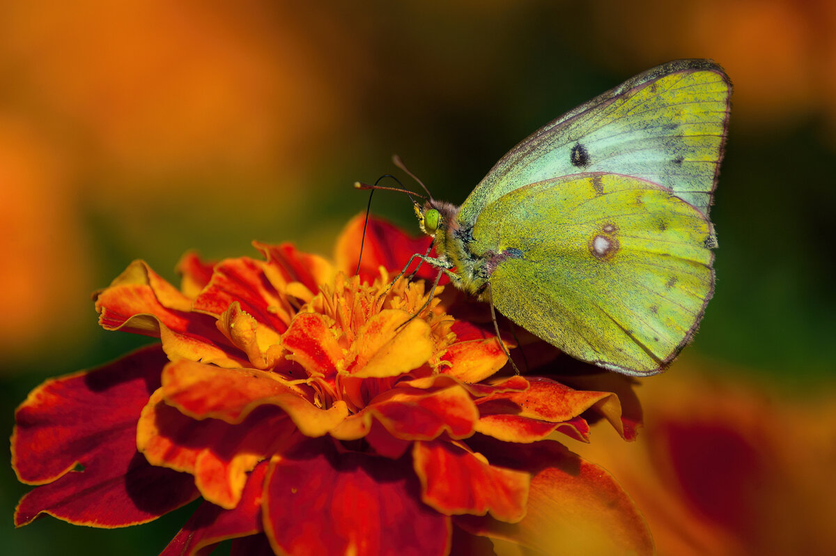 *   *   * - Уже не важно ...