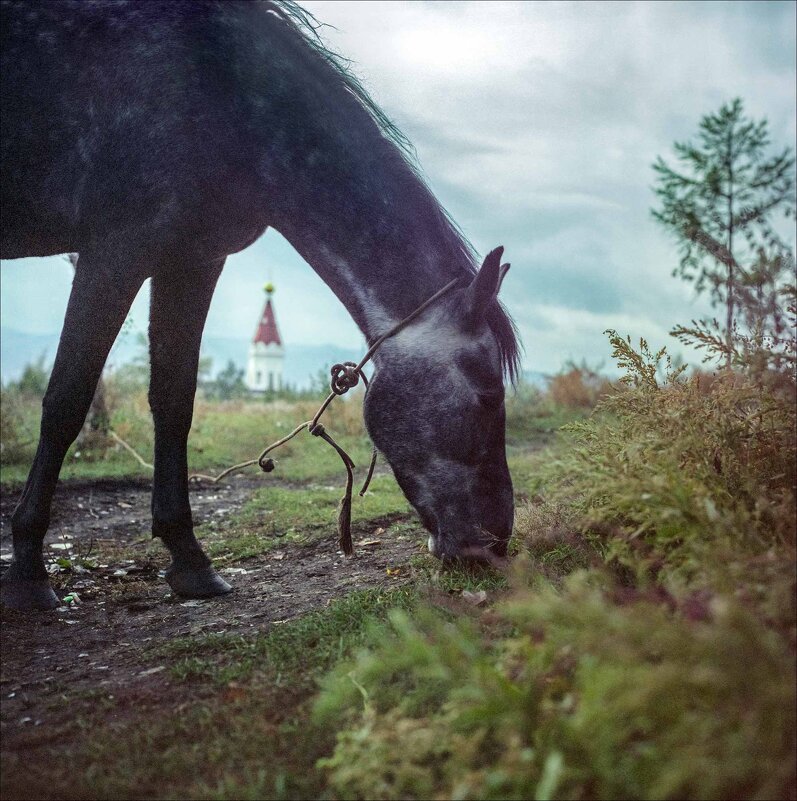 ГОРА КАРАУЛЬНАЯ - Александр Кустов