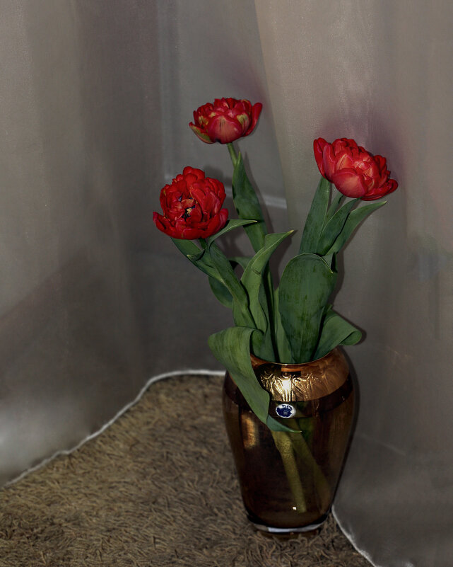 Пионовидные тюльпанчики - Леонид 