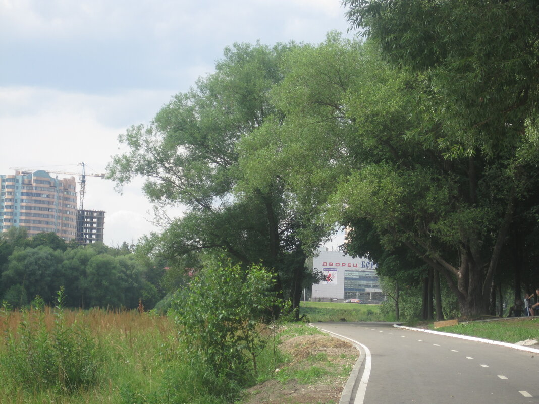 Дорога в парк - Елена Семигина