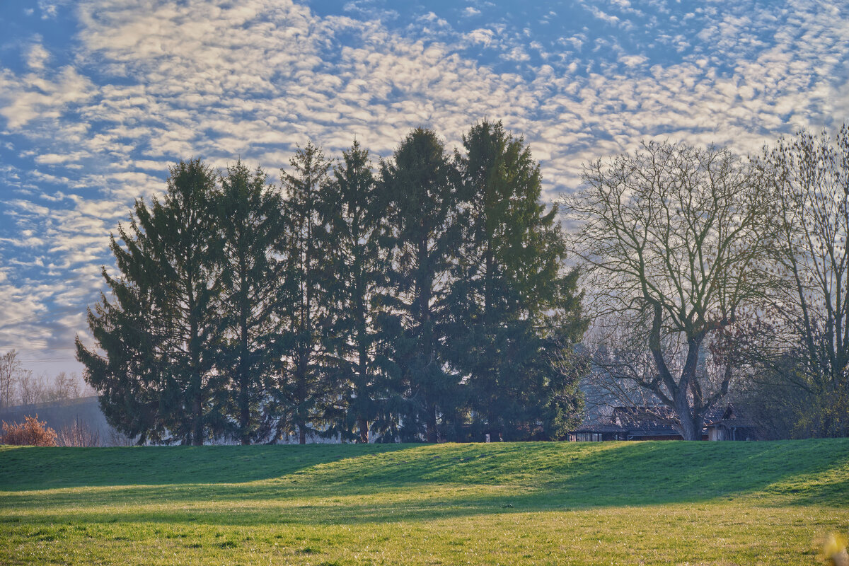 (°-°) - Jakob Dick