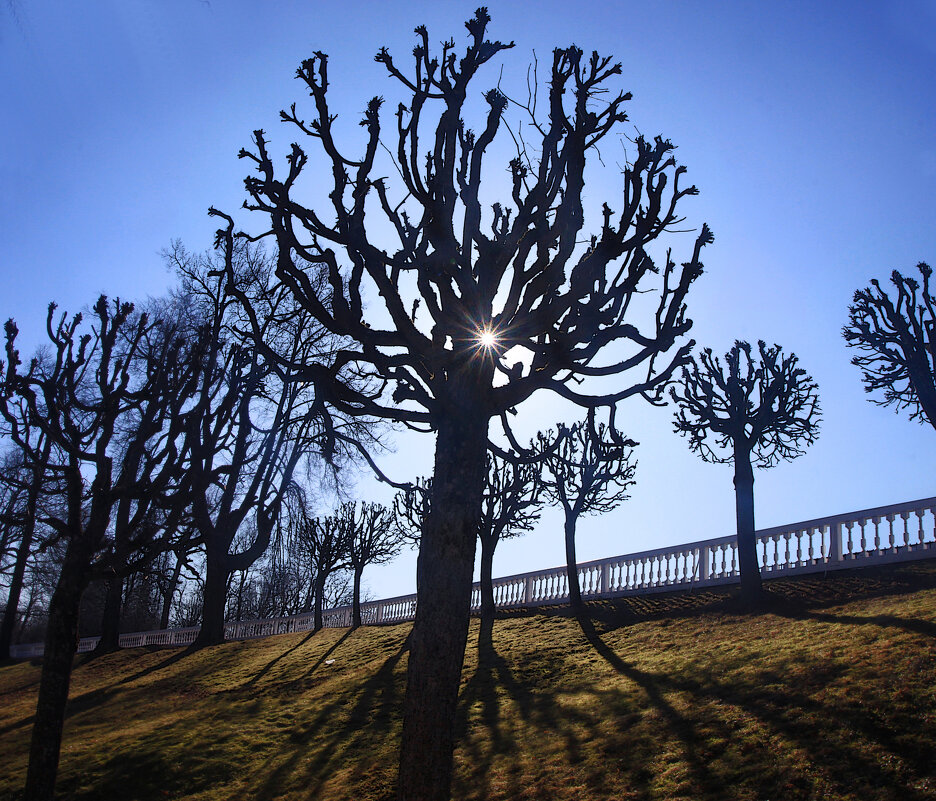 *** - Сергей Григорьев