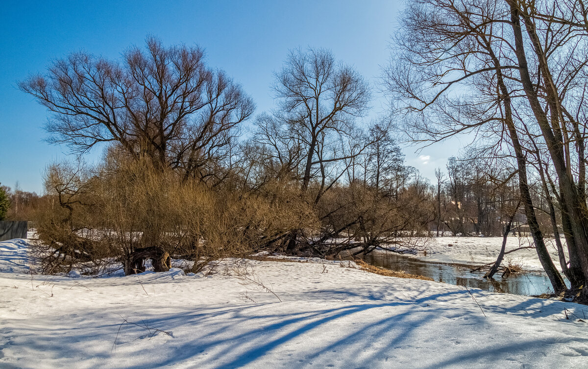 Вешние воды 6 - Андрей Дворников