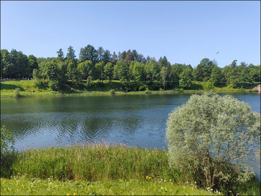 Гатчина! - Надежда 