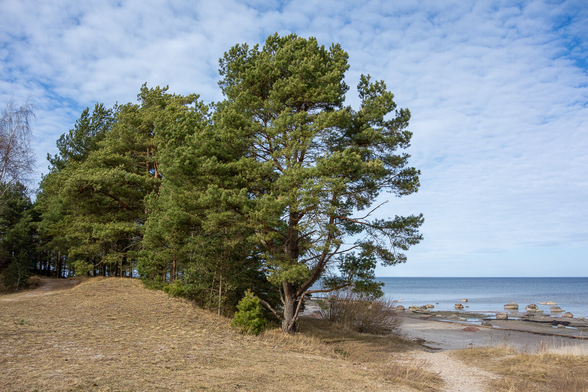 *** - Геннадий Порохов