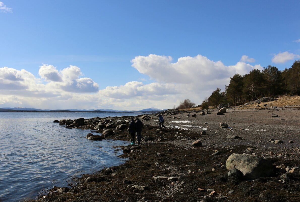 Весенняя литораль - Ольга 
