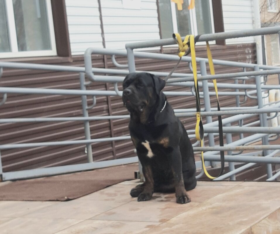 Мой город - Венера Чуйкова