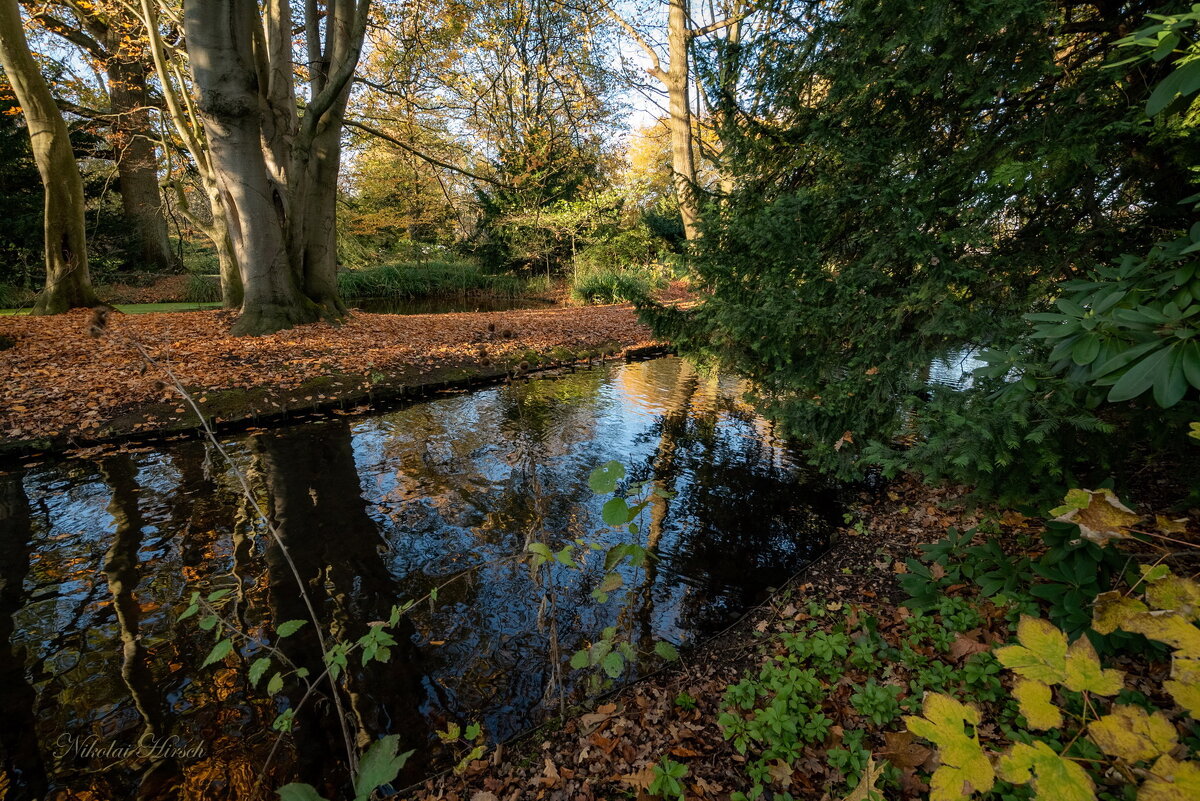 В ноябрьском парке... - Николай Гирш