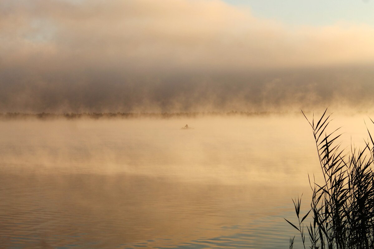 Туманное утро августа... - Александр Герасенков Туманное утро августа... - Александр Герасенков
