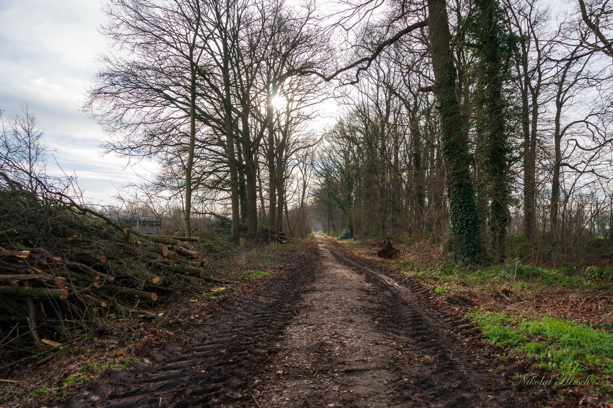 Время обрезки... - Николай Гирш