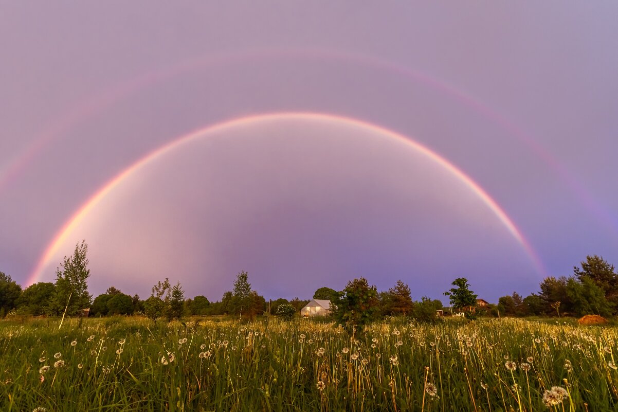Закатная радуга - Crazy Bee