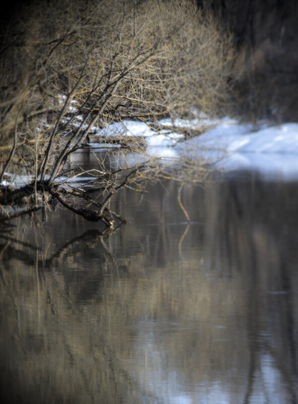 Гладь - sorovey Sol