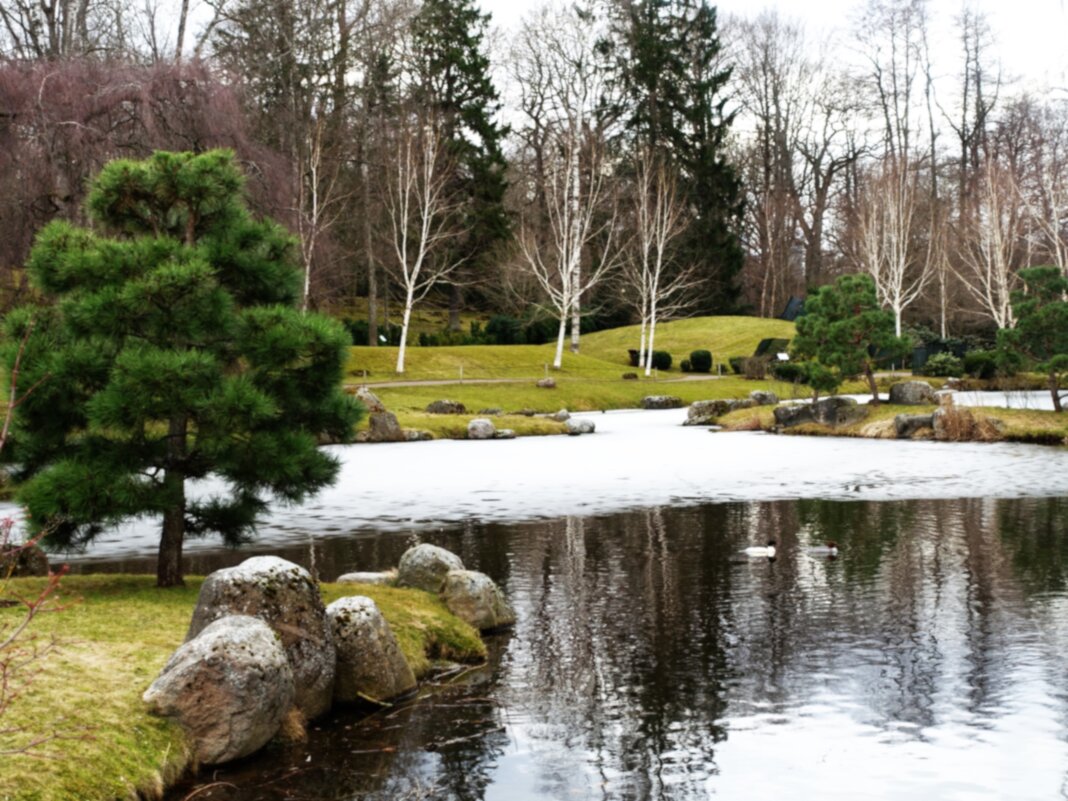 Конец марта в Японском саду Кадриорга - Aida10 