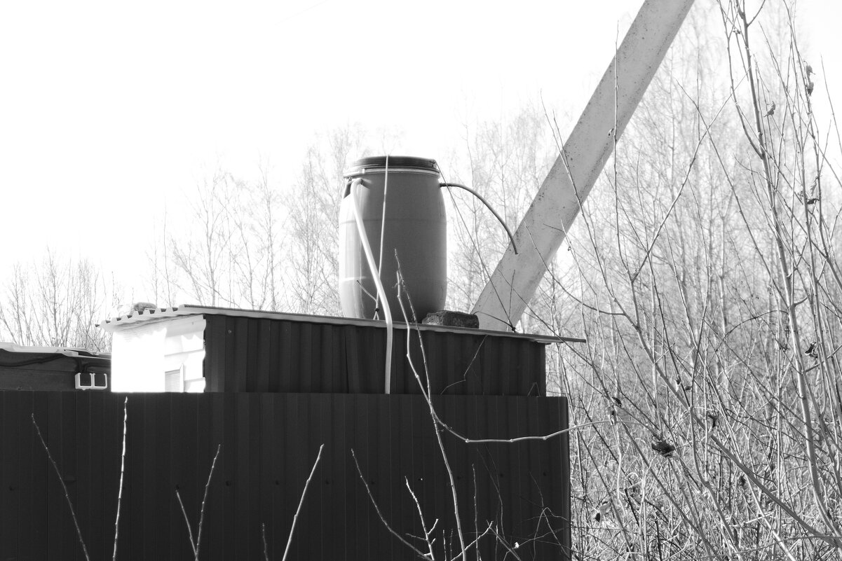 Мечты о ч/б Лейке 70. - Михаил Елочкин