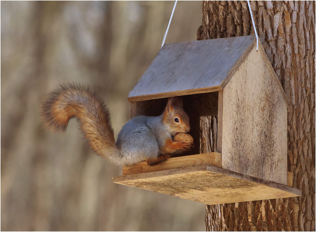 Спасибо вам, Люди ! - Валентин Котляров