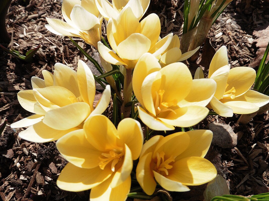 Весна в парке Зарядье - Лидия Бусурина