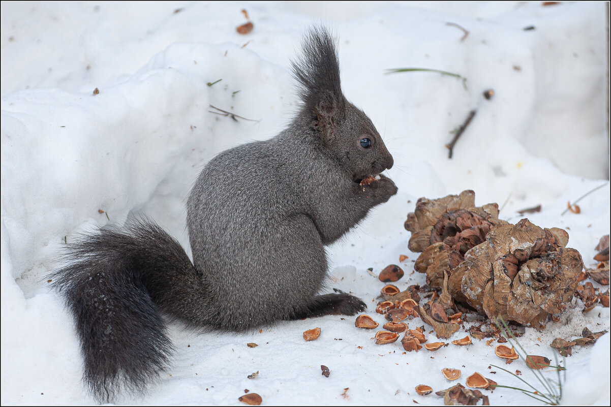 ОБЕД ... - Владимир Железнов