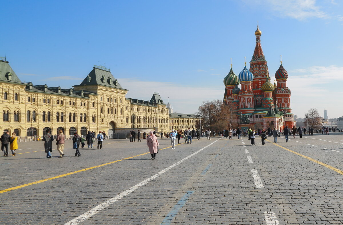 прогулка в ясный день - Andrey Bragin 