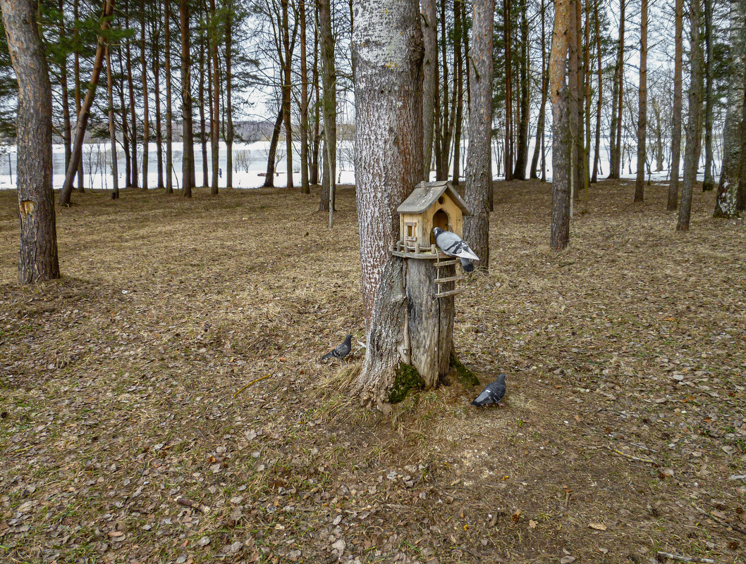 Закусочная для пернатых. - Михаил "Skipper"