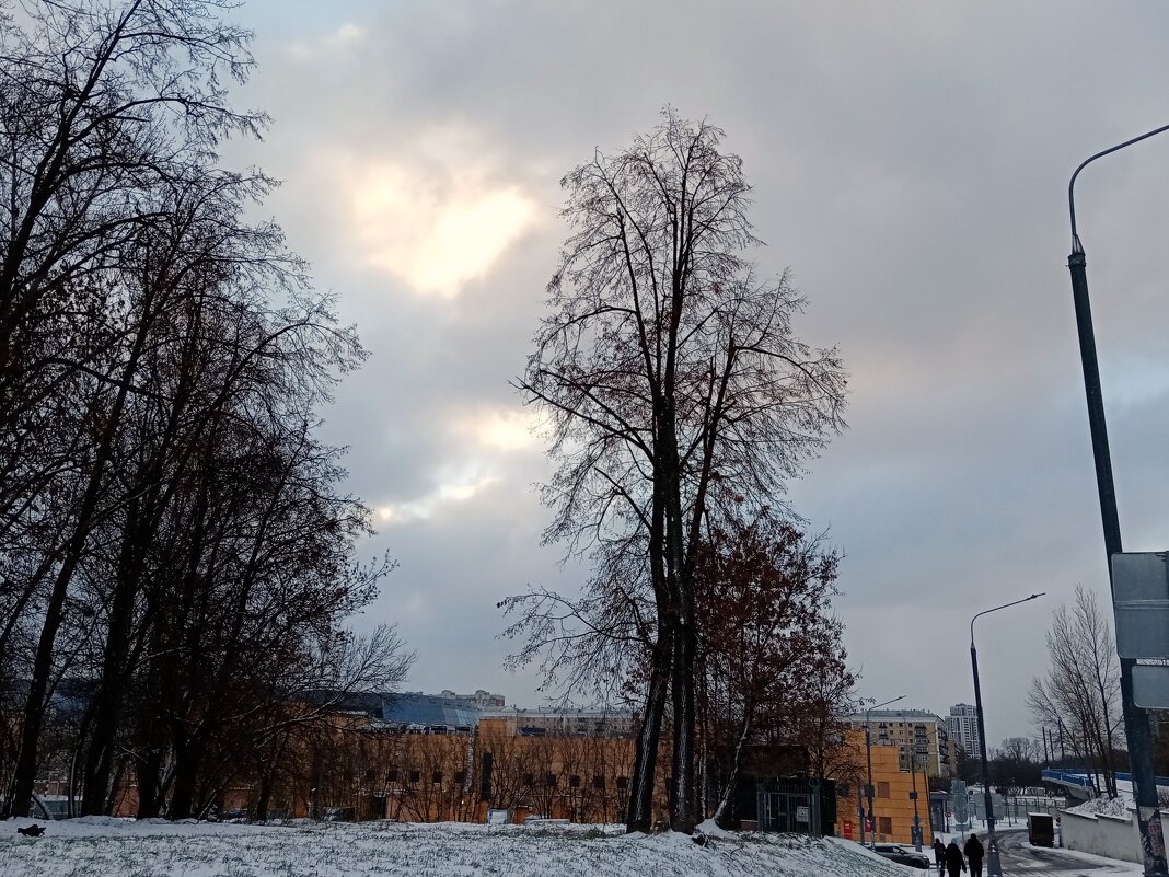 Зима. - Владимир Драгунский