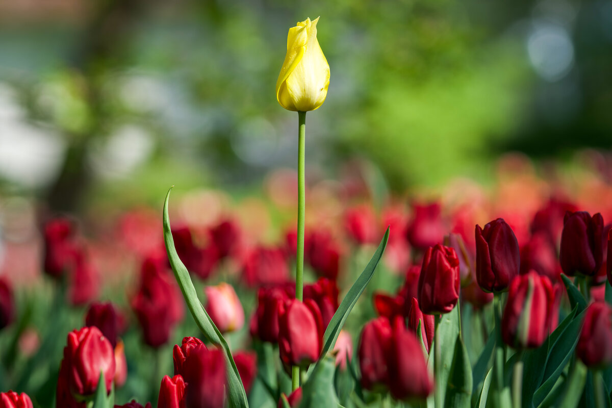 Не будь как все - Виктория 