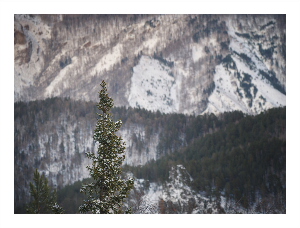 * - Александр Иванов