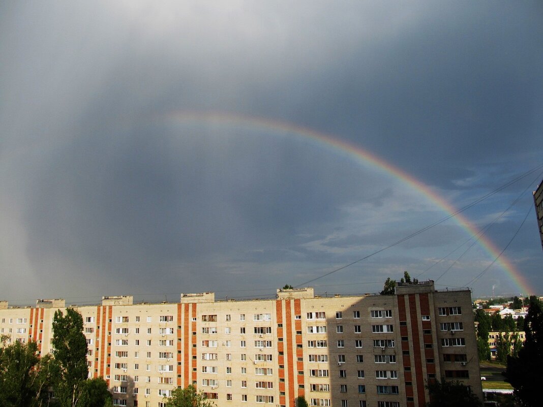 лето - Елена Шаламова