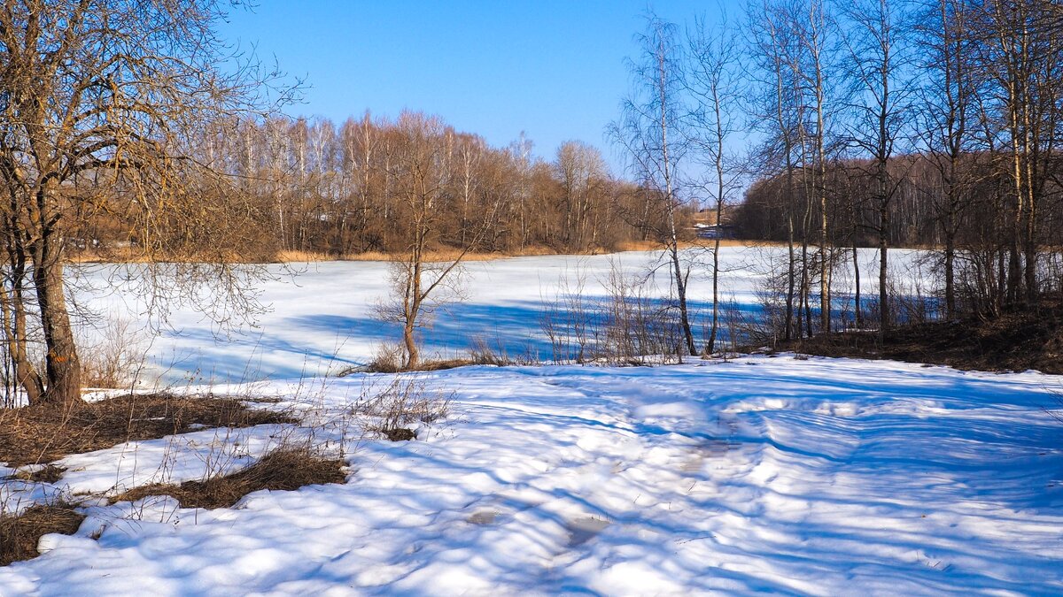 Весна в конце марта. - Милешкин Владимир Алексеевич 