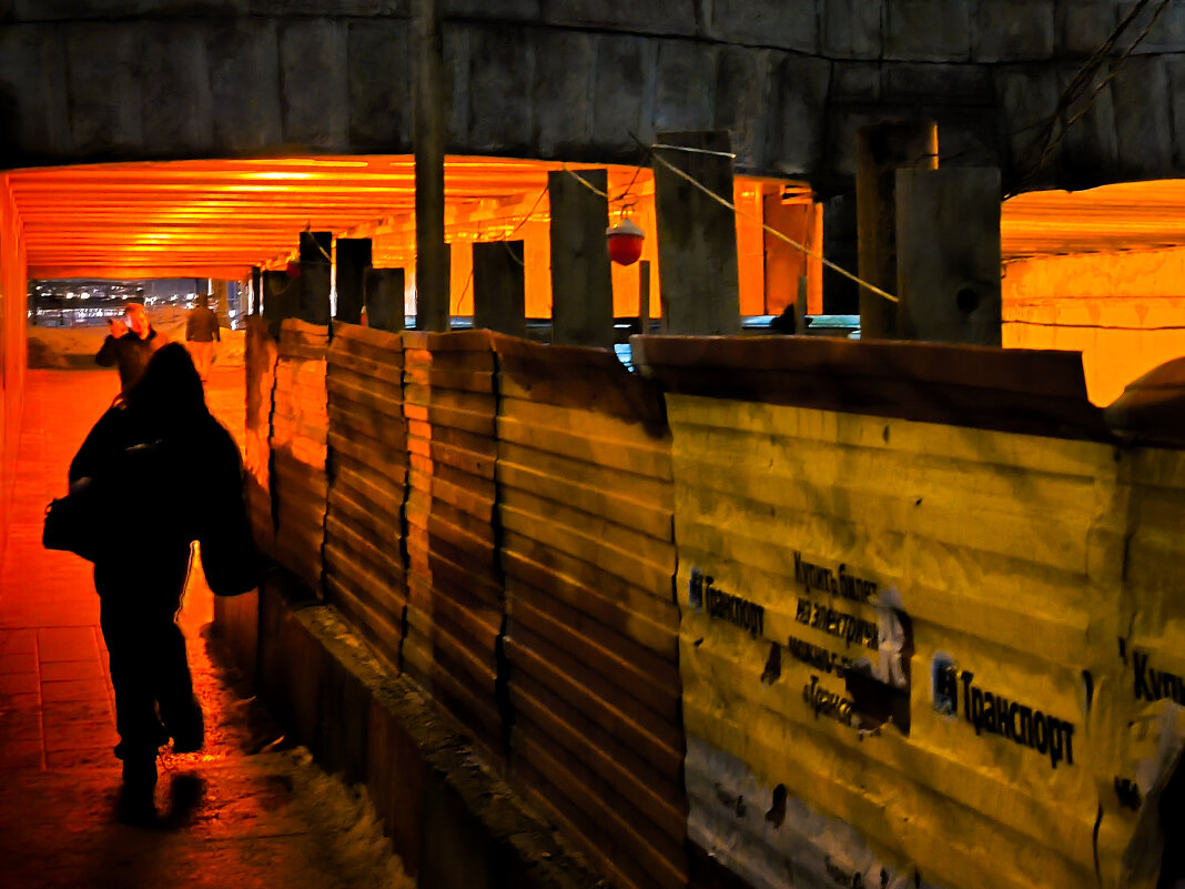 * - Сергей Полянский