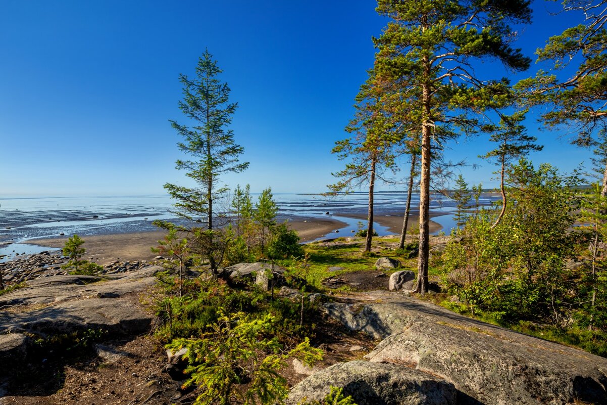 Беломорские "Мальдивы" - Crazy Bee Беломорские "Мальдивы" - Crazy Bee