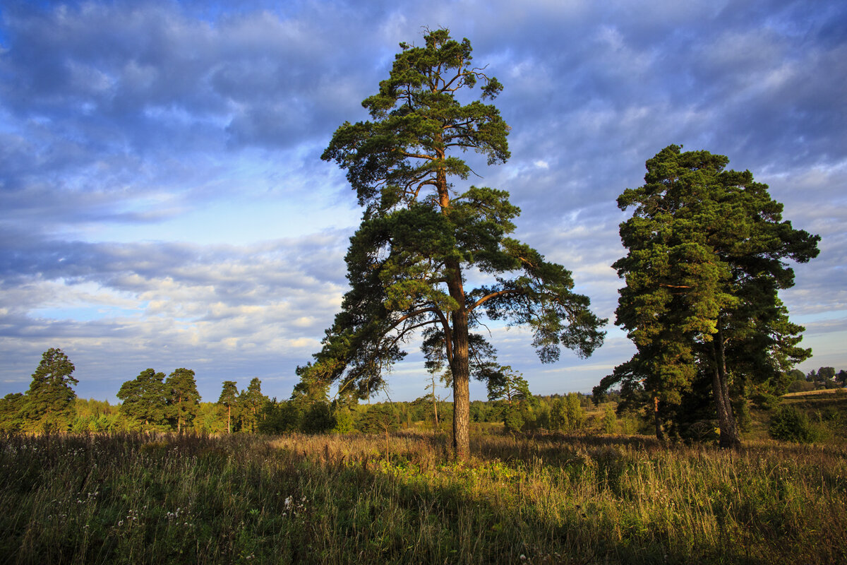 На закате дня - Владимир Гришин