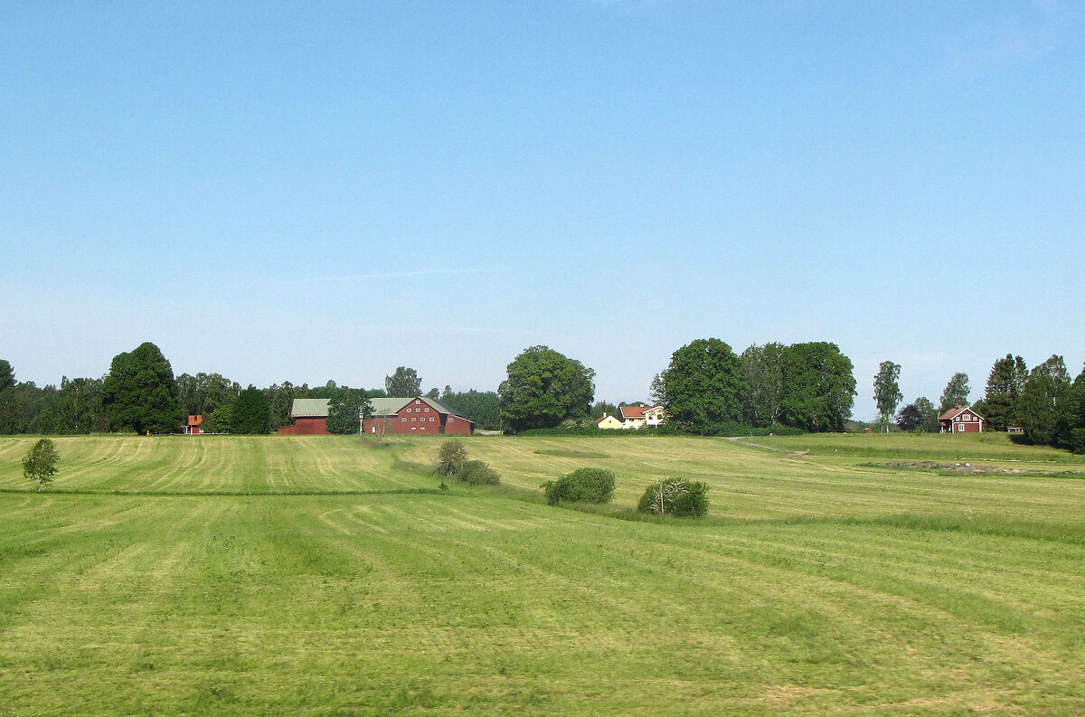 Ферма Линга (Linga Gård) - Александр Ильчевский 