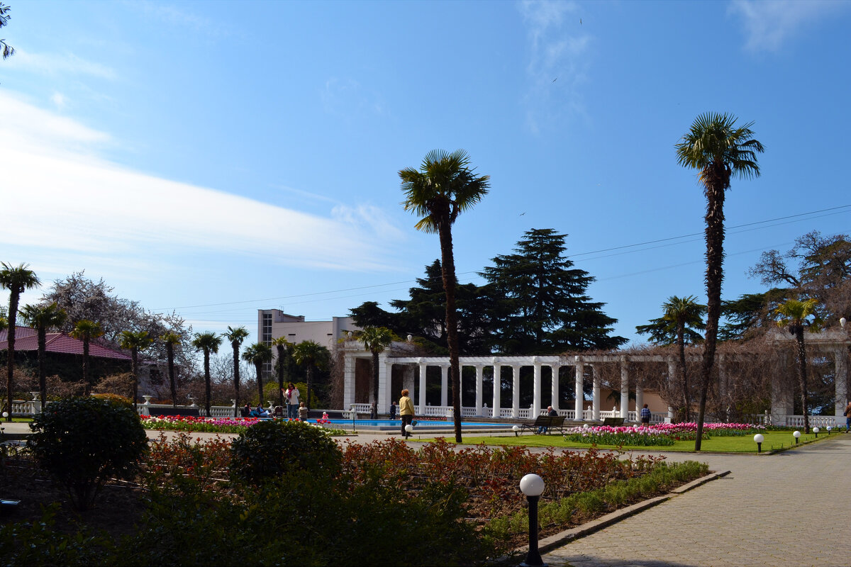 Ботанический сад.Ялта - Ольга Рывина