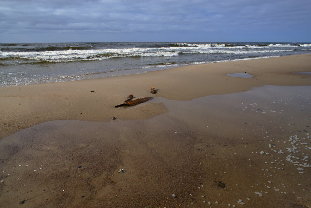 *** - Константин Белоногов