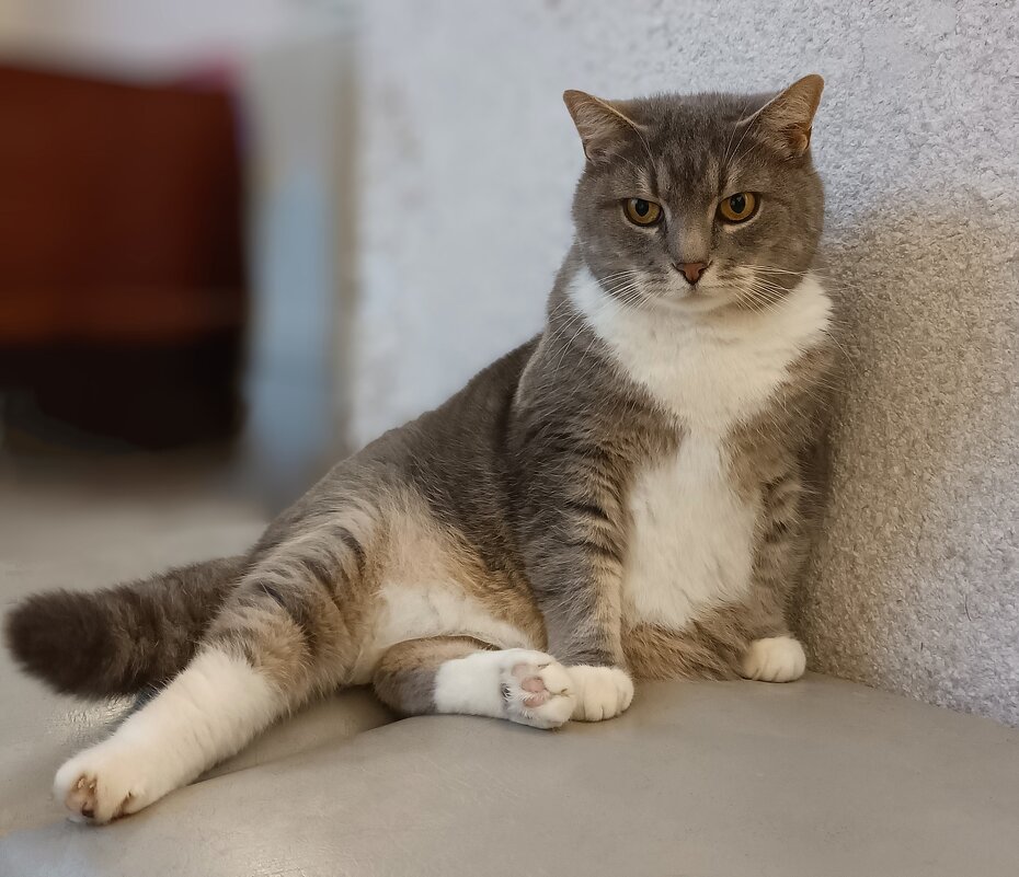 Марфуша... - Ирина *