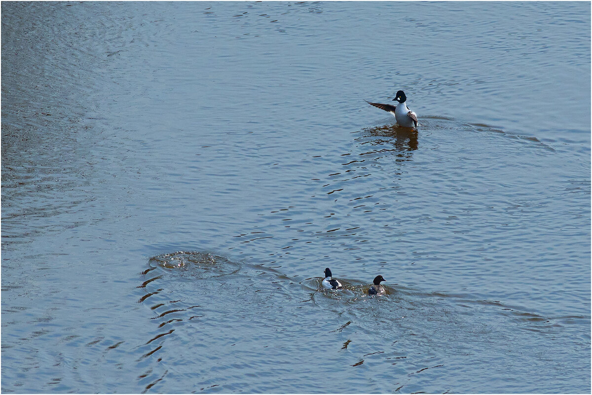 Тренер по нырянию - Валентин Котляров