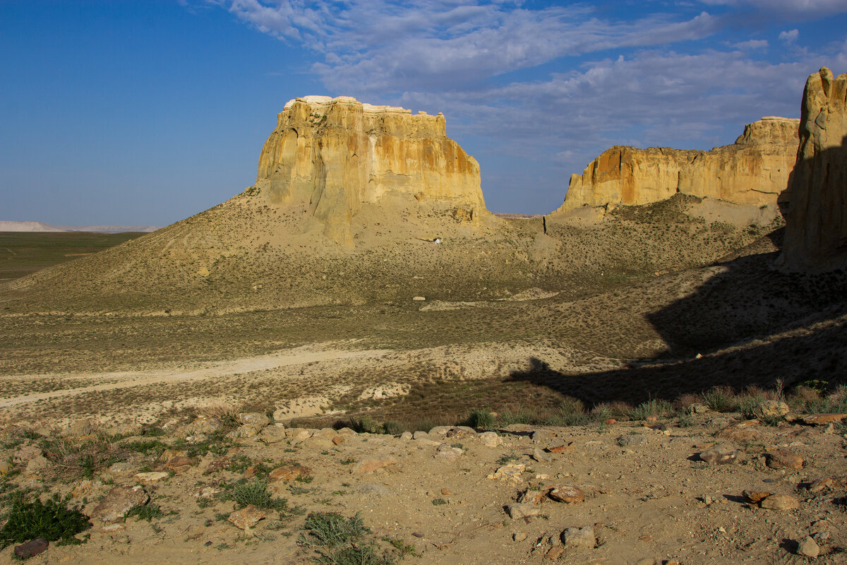 степи Казахстана скрывают много тайн - Ольга Косачова степи Казахстана скрывают много тайн - Ольга Косачова