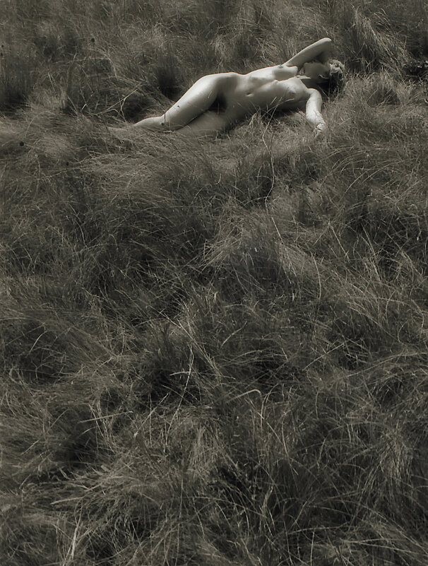 В душистых травах - Valziwa 