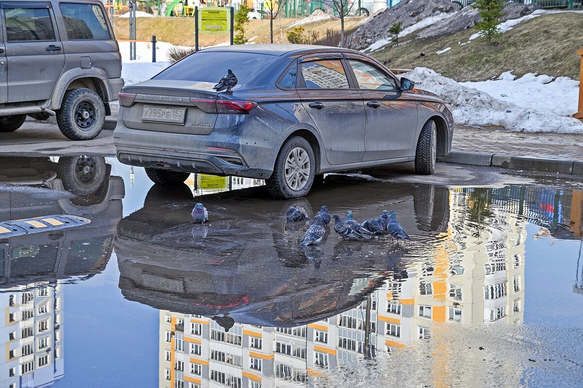 Весна в городе - Валерий Иванович Весна в городе - Валерий Иванович