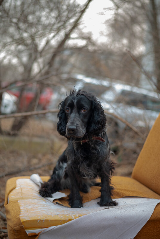 Джек - Вячеслав Дроздов