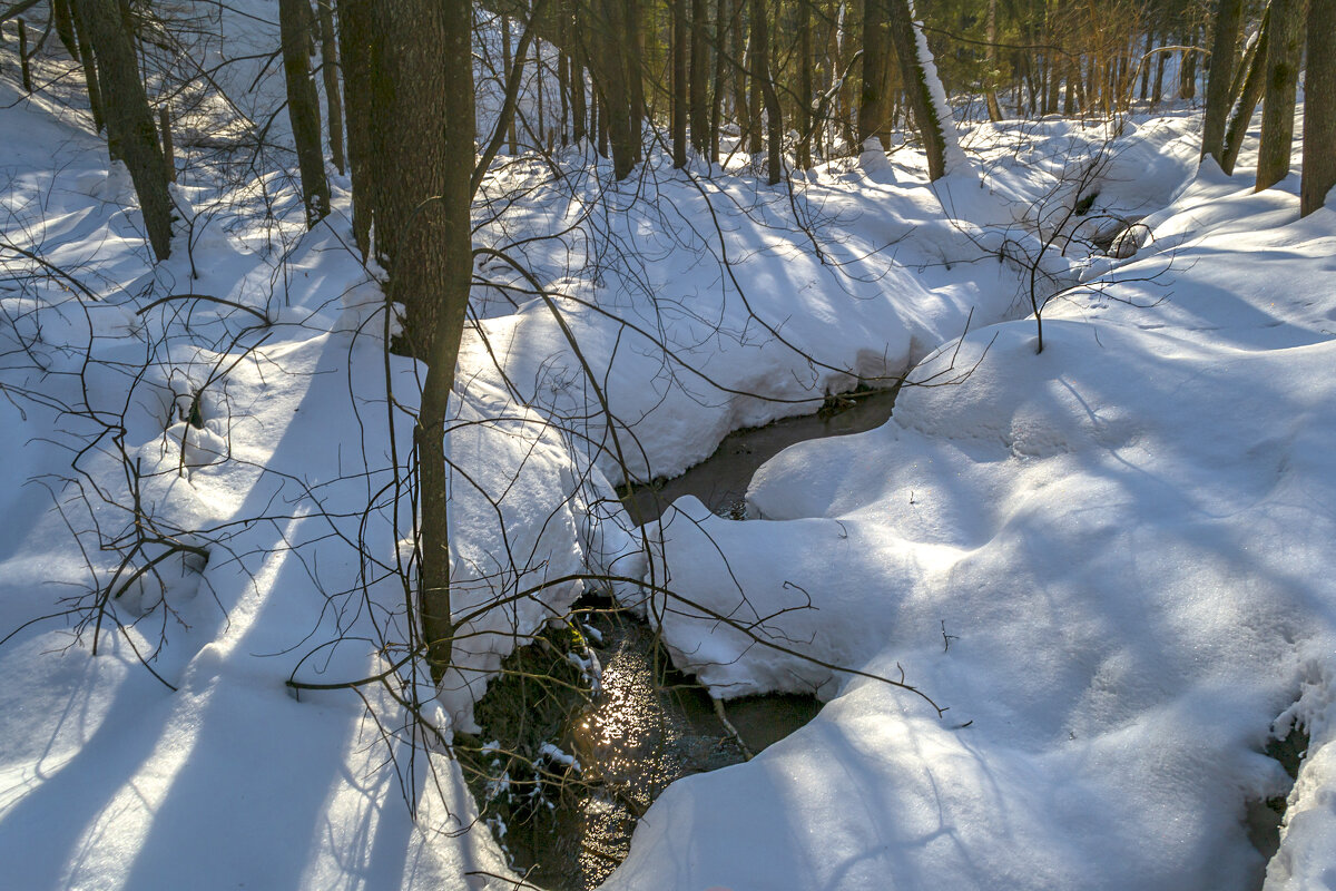 Лесной ручей - Сергей Цветков
